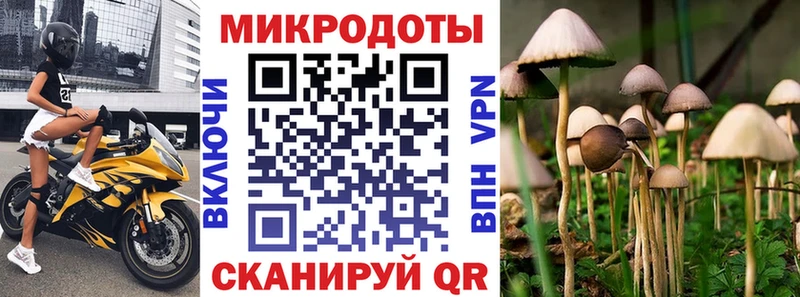 Псилоцибиновые грибы Psilocybe  Углич 